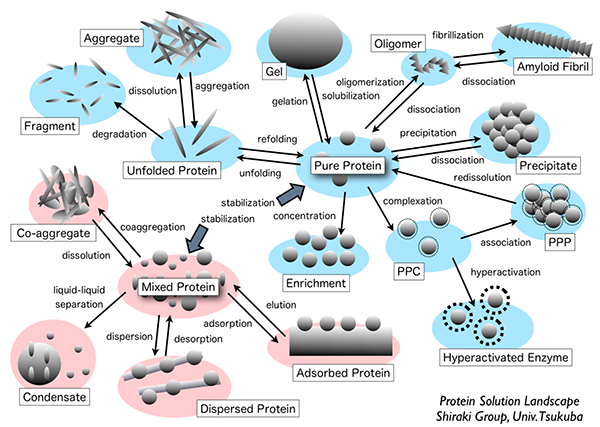 タンパク質溶液テクノロジーの画像