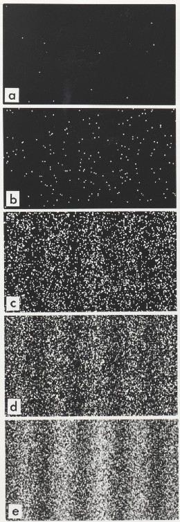 Double-slit_experiment_results_Tonomura_Preview.jpg